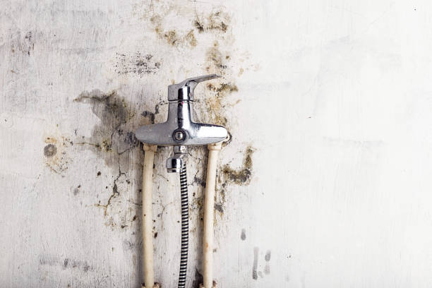 Best Mold Removal Near Me  in Lumberton, NC