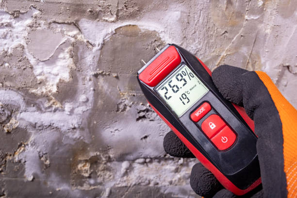 Best Toxic Mold Removal  in Lumberton, NC