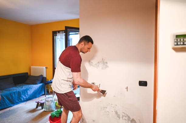Best Mold Remediation  in Lumberton, NC